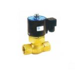 โซลีนอยด์ยวาล์ว (STEAM) SLG-66  (220V)